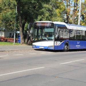 Miniaturka zdjęcia galerii