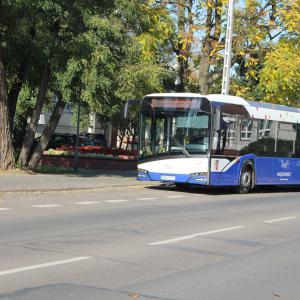 Miniaturka zdjęcia galerii