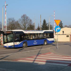 Miniaturka zdjęcia galerii